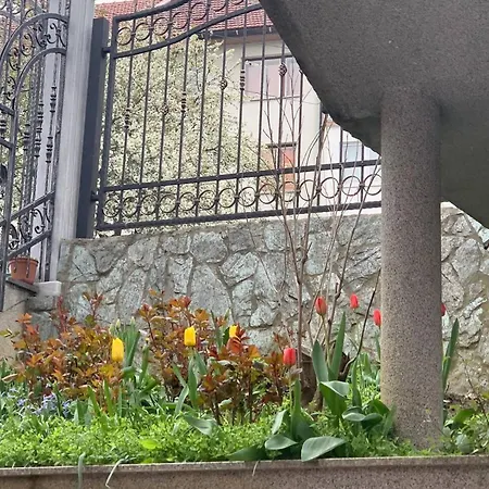 Spacious Modern House In With Parking. 펜션